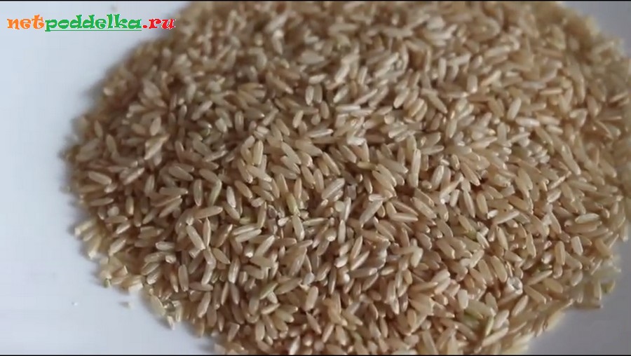 Зерна бурого риса