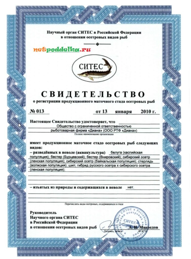 СИТЕС – Сертификат, подтверждающий аквакультурное происхождение икры