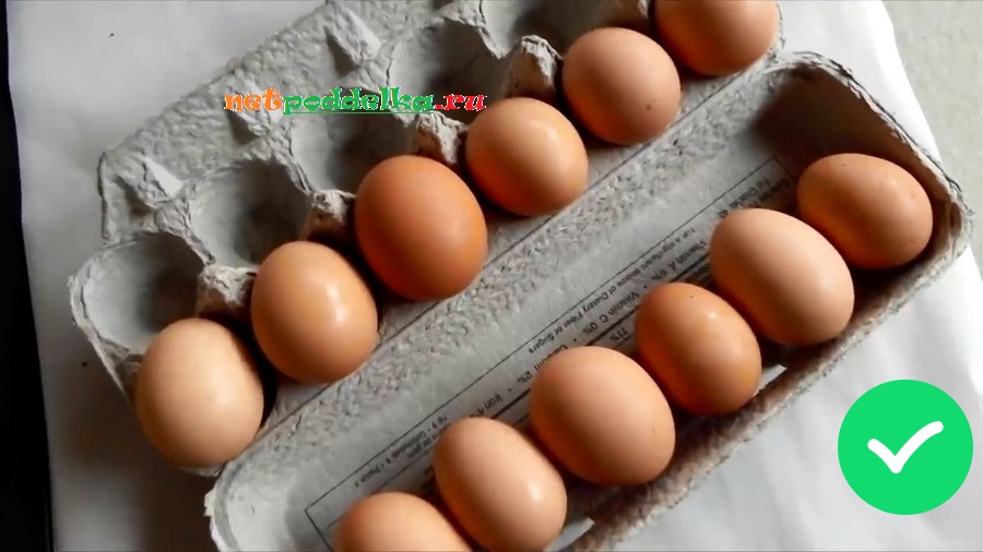 Разница в форме и расцветке заметна даже у отсортированных яиц