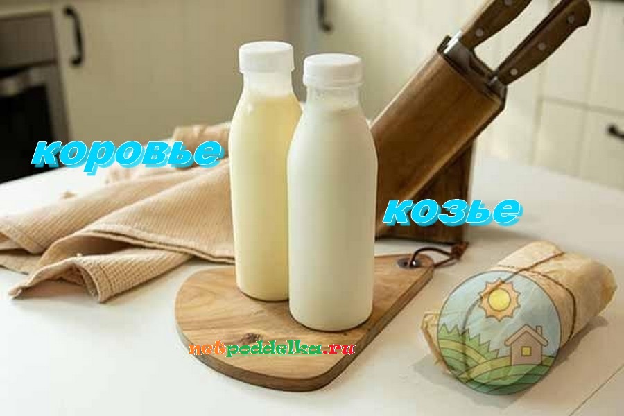 Сравнение цвета коровьего и козьего молока